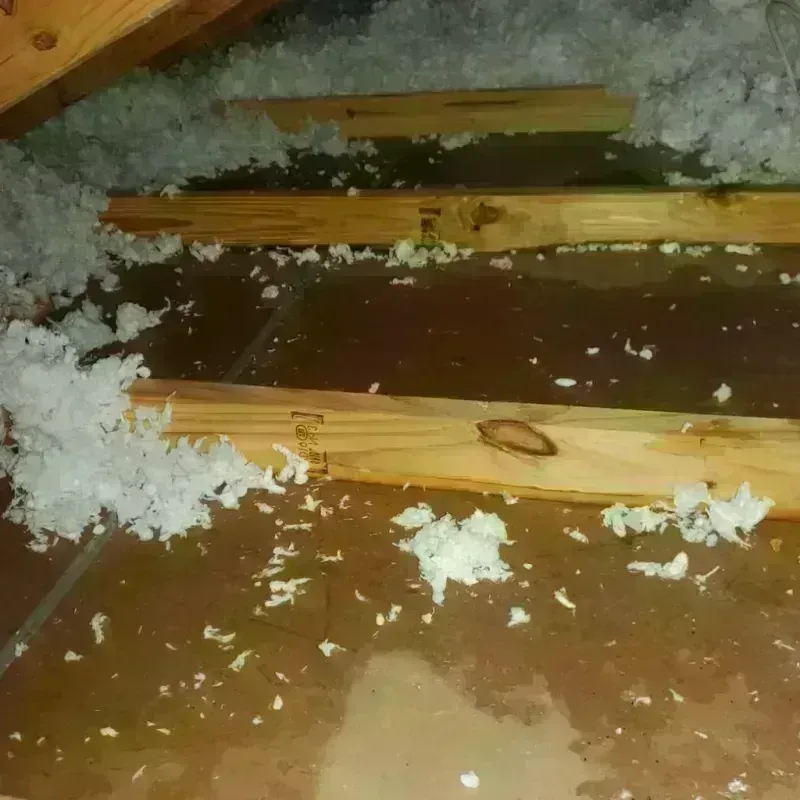 Attic Water Damage in Flower Mound, TX